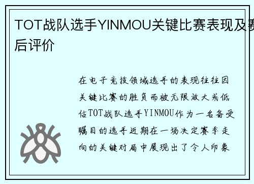 TOT战队选手YINMOU关键比赛表现及赛后评价